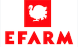 Zrzut ekranu 2023-04-12 o 14.56.31